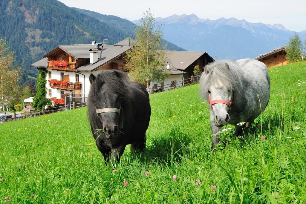 Hotel Kompatscherhof Luson Dış mekan fotoğraf